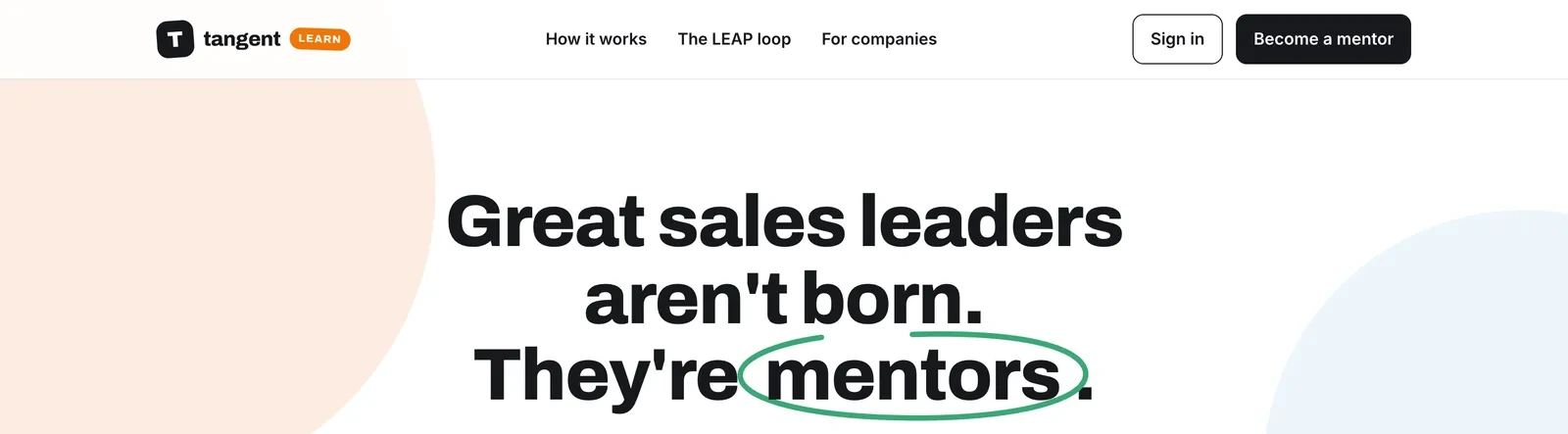The Learn by Mentoring landing page: the headline Great sales leaders aren't born, they're mentors, with the word mentors circled in green, over pastel shapes.
